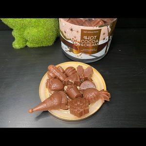 Bath and body works Wax melts x 10